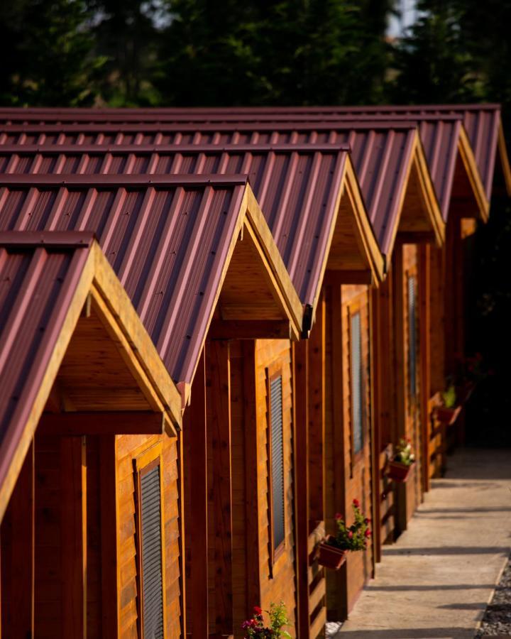 Hotel Sunny Garden Ulcinj Zewnętrze zdjęcie